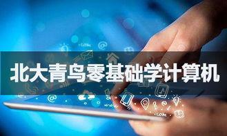 零(ling)基礎入門(men)軟(ruan)件開發(fa) 可能(neng)之路(lu)與(yu)學習指南(nan)